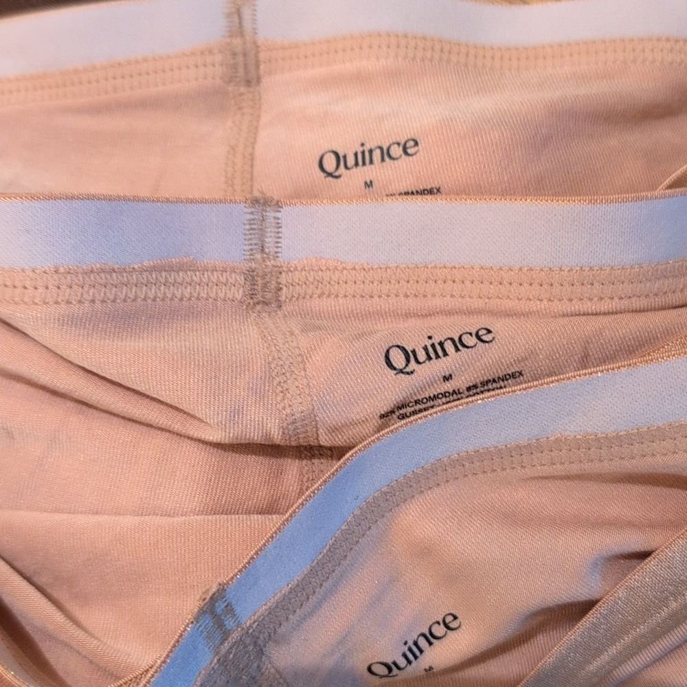 NWOT (3) Quince Ultra-Soft MicroModal Boyshort underwear size Medium no-roll - Picture 3 of 5
